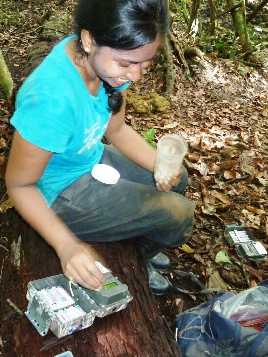 Student grants to work with orangutans in Borneo.