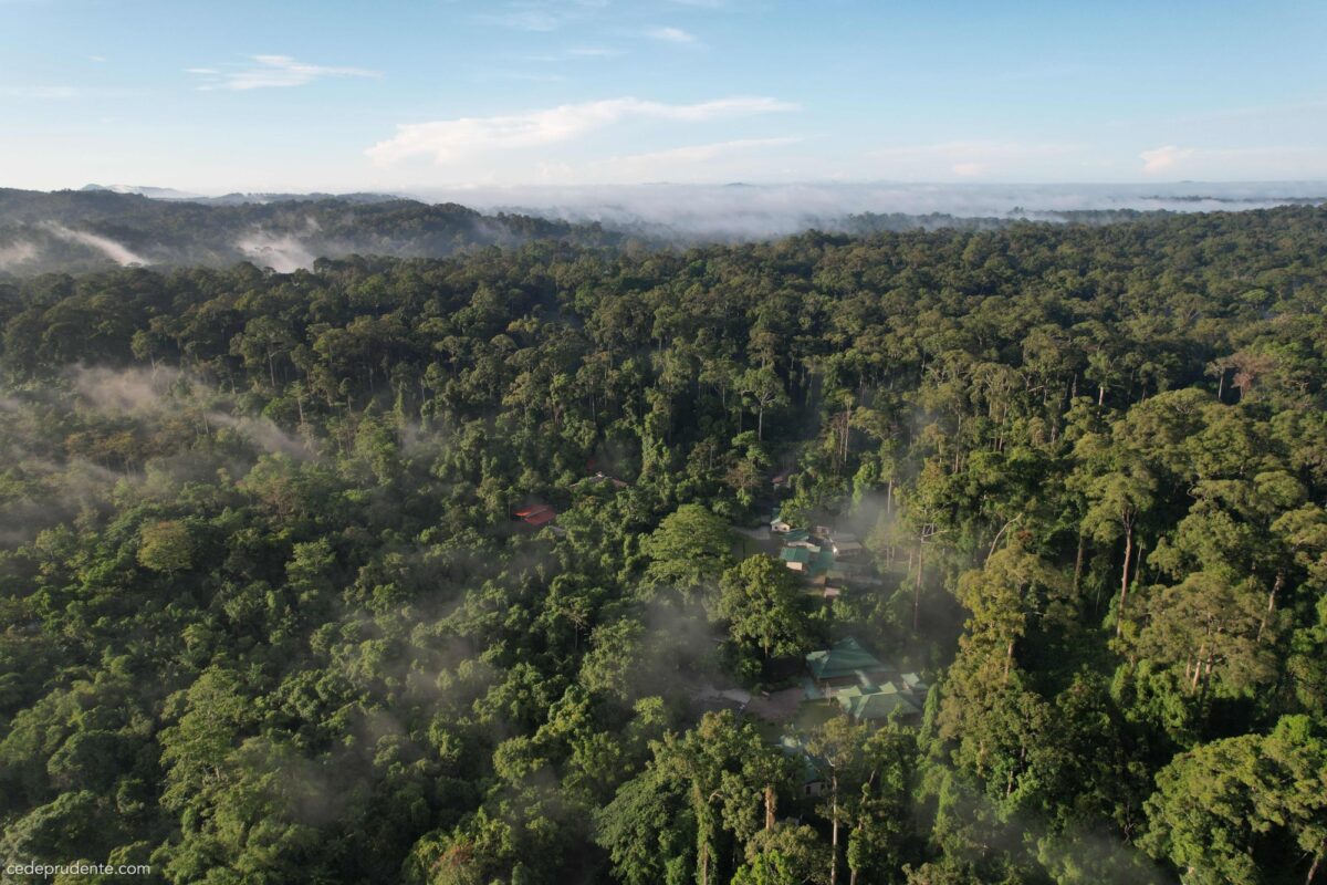 Sepilok Orangutan Rehabilitation Centre Arial photo
