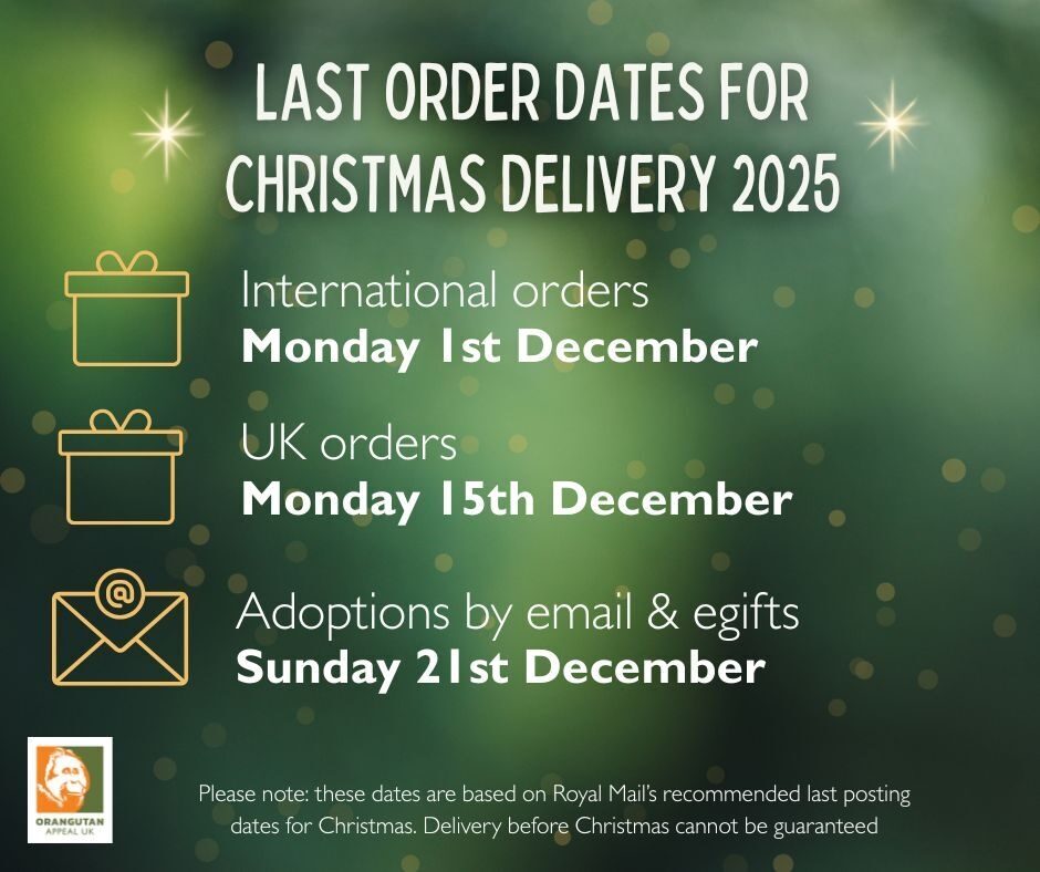 Last order dates 2025