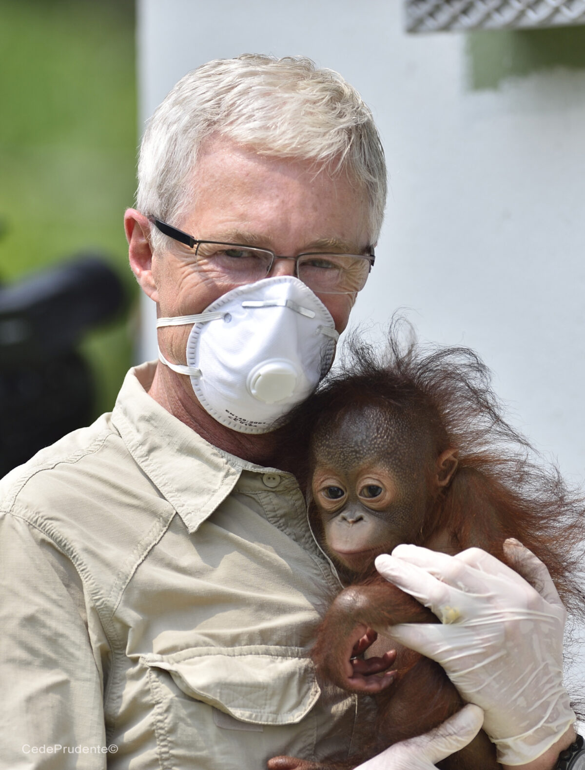 Paul O'Grady wearing PPE and holding a baby orangutan at Sepilok Orangutan Rehabilitation Centre