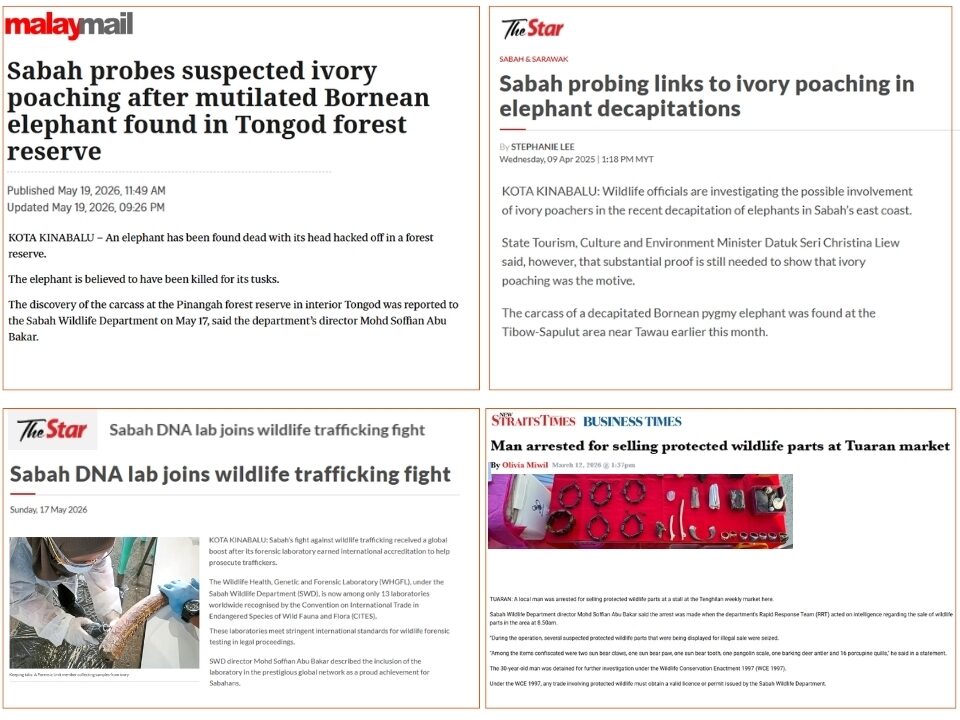 News headlines highlighting poaching and illegal wildlife trafficking in Malaysia