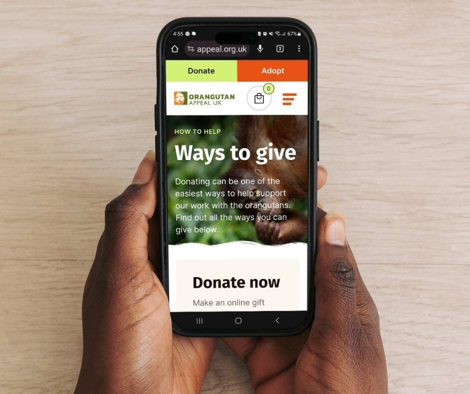 Donation website page on a mobile phone held in hands.