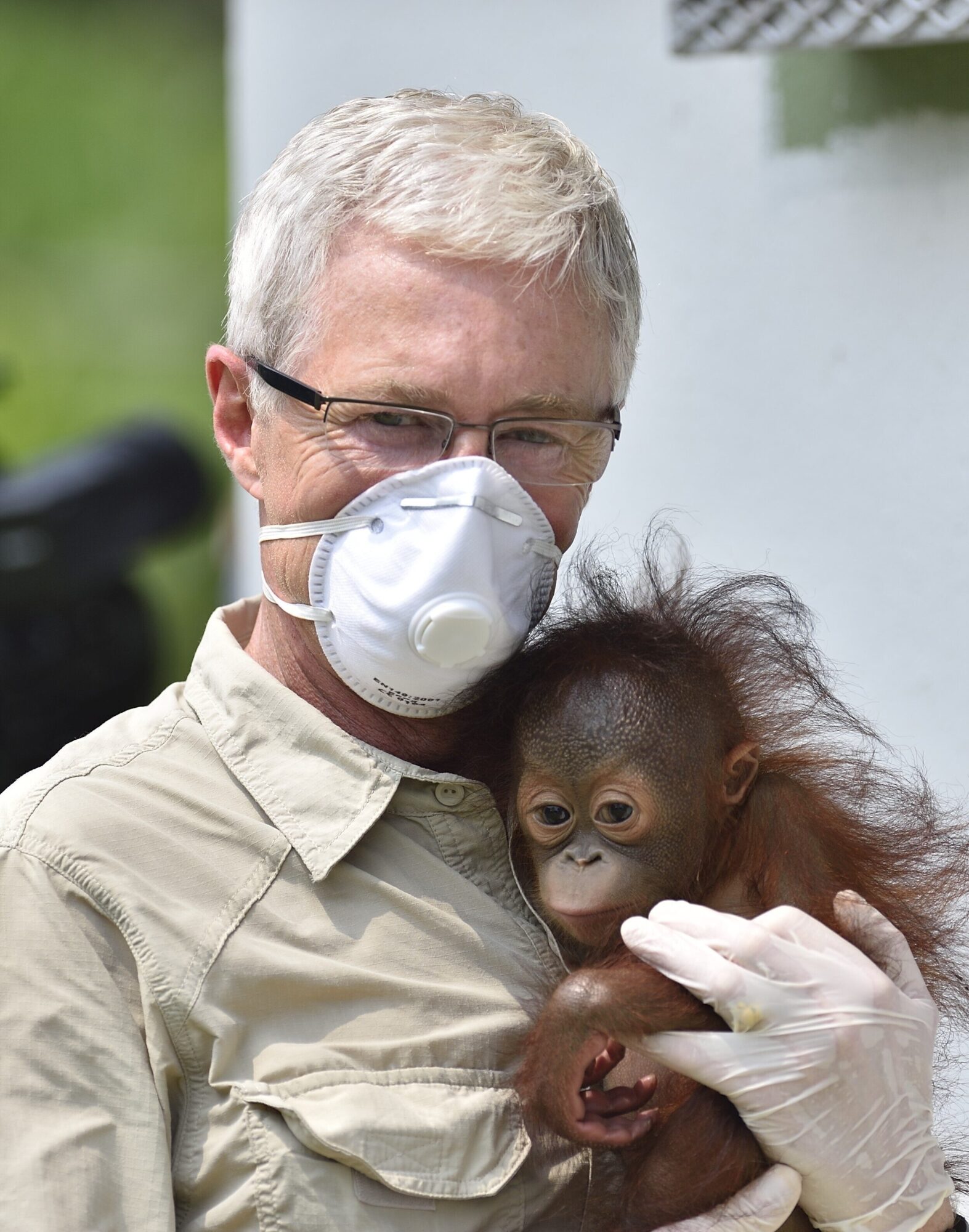 Paul O'Grady holding Archie the orangutan