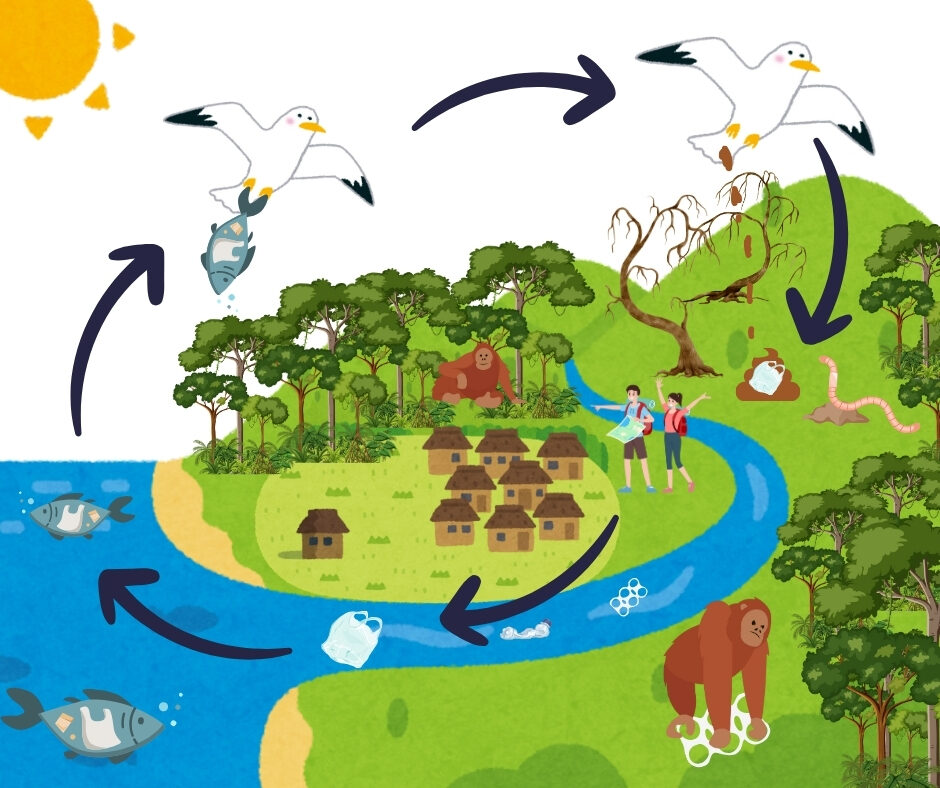 Plastic cycle and the rainforest
