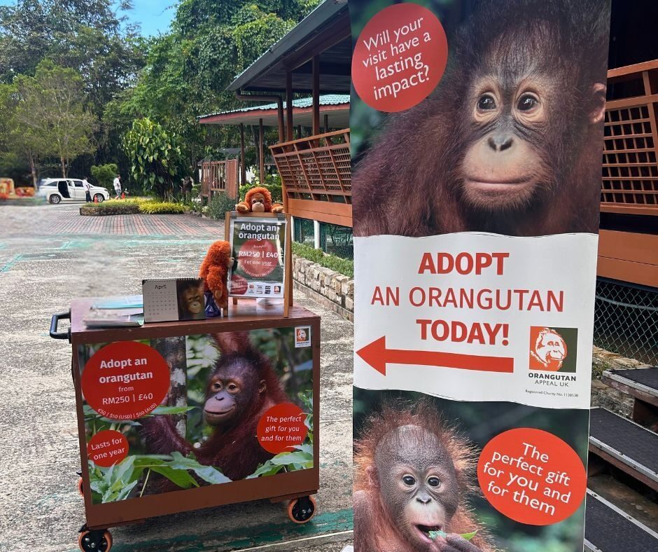 LO Cart at entrance Sepilok Orangutan Rehabilitation centre. Writing on the cart reads 'adopt an orangutan from RM250 | £40' 'Lasts for one year' 'The perfect gift for them.'
