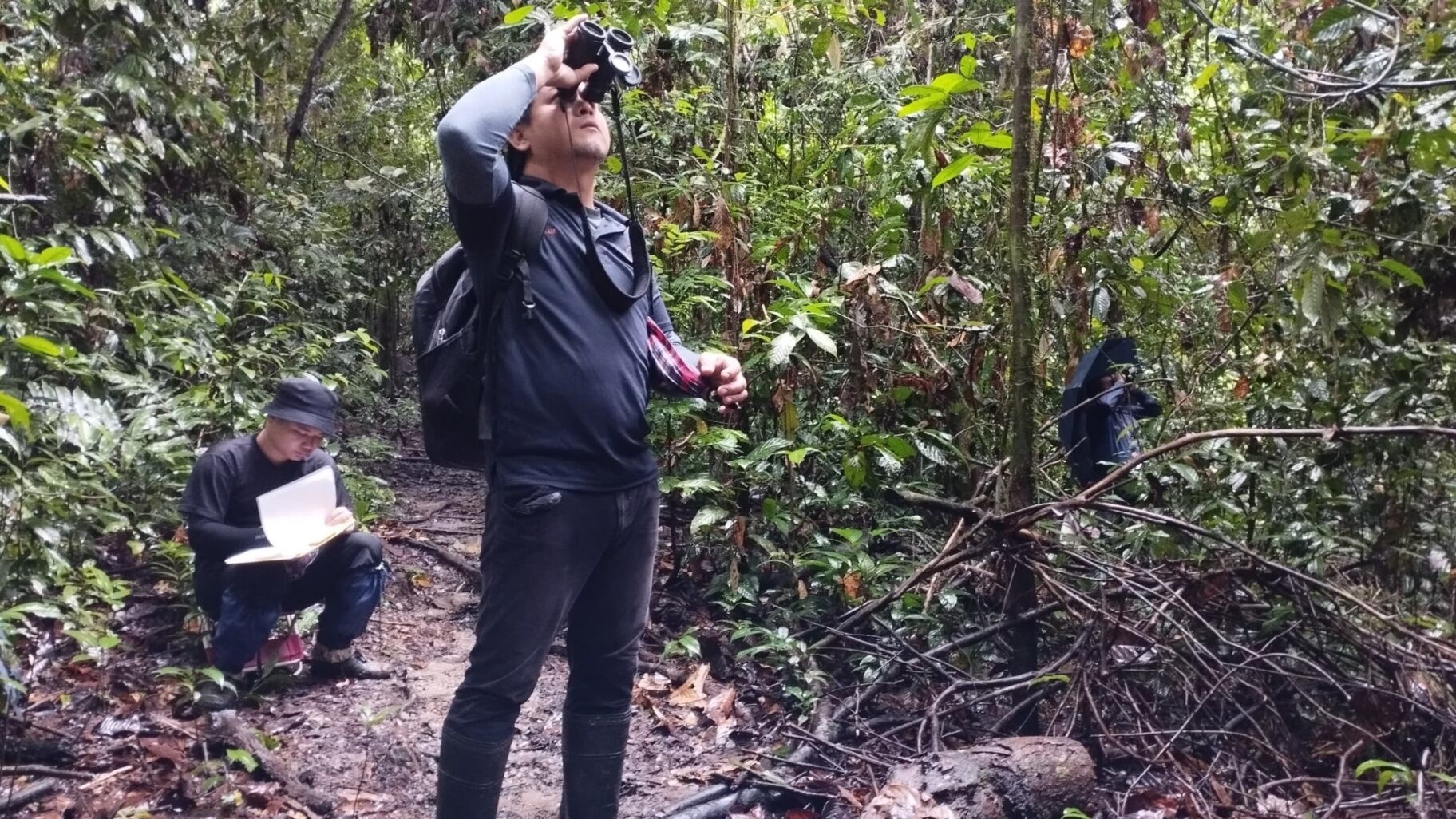 Sepilok team in Danum Valley tracking orangutans