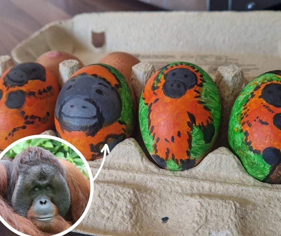 Easter egg orangutans