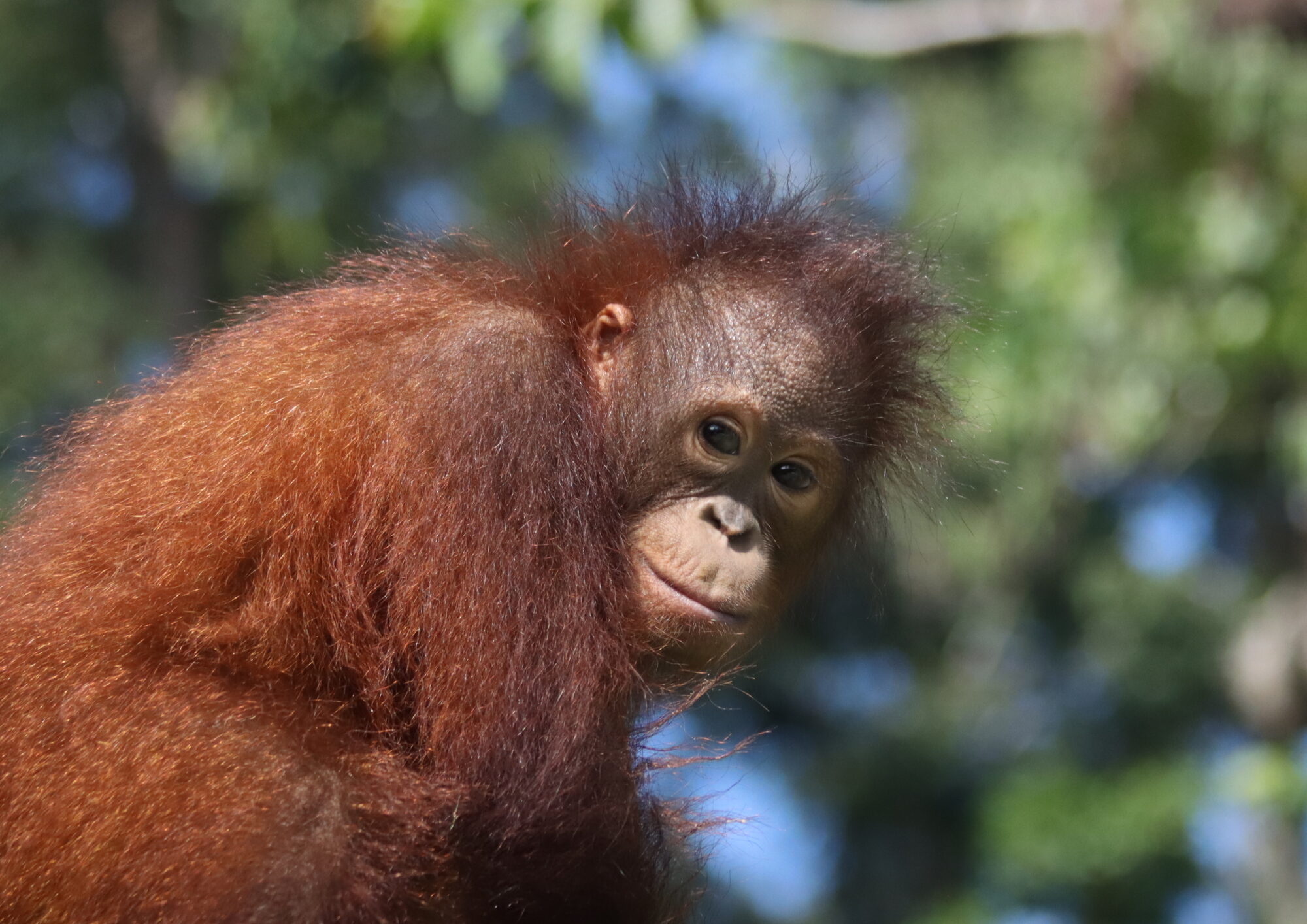 Agop April 2024 Looking over shoulder eye contact smiling sunny HIGH IMPACT