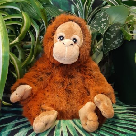 Orangutan plush shop