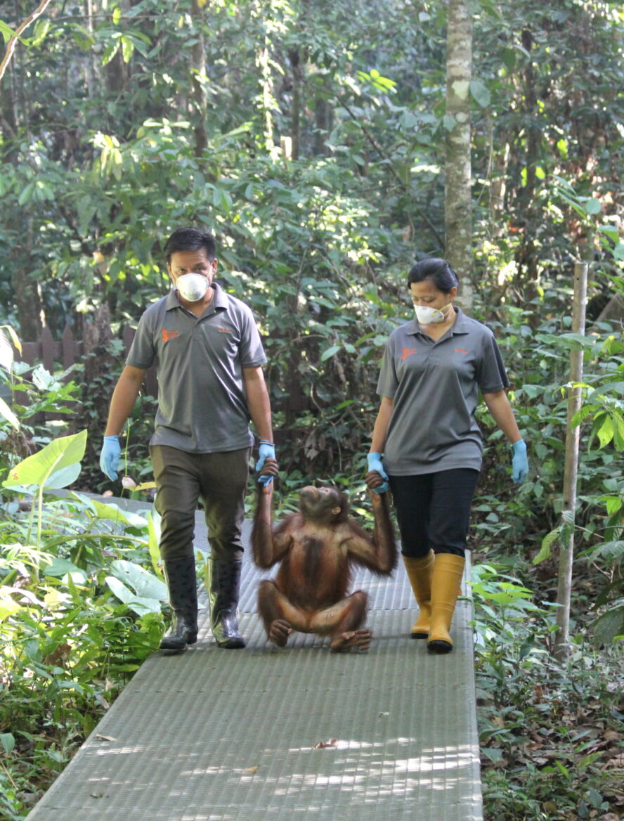 Victor Ibri Koko released to outdoor 03 2019 1