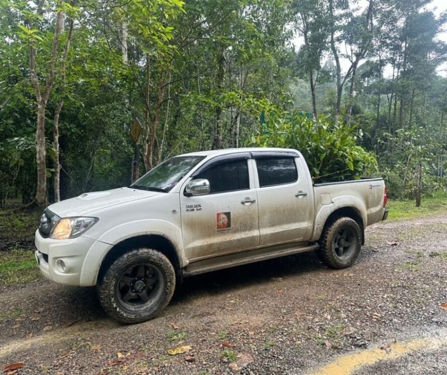 A white Toyota Hilux parked on a muddy road surrounded by tropical trees.