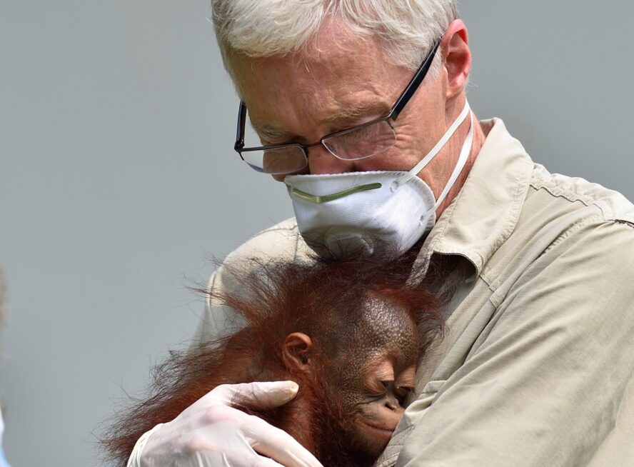 Paul O'Grady holding orphaned infant Archie in his arms.