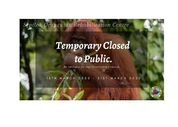 Sepilok Closed due to Covid-19 poster with 'Temporary closed to public' written across a photo of an orangutan.
