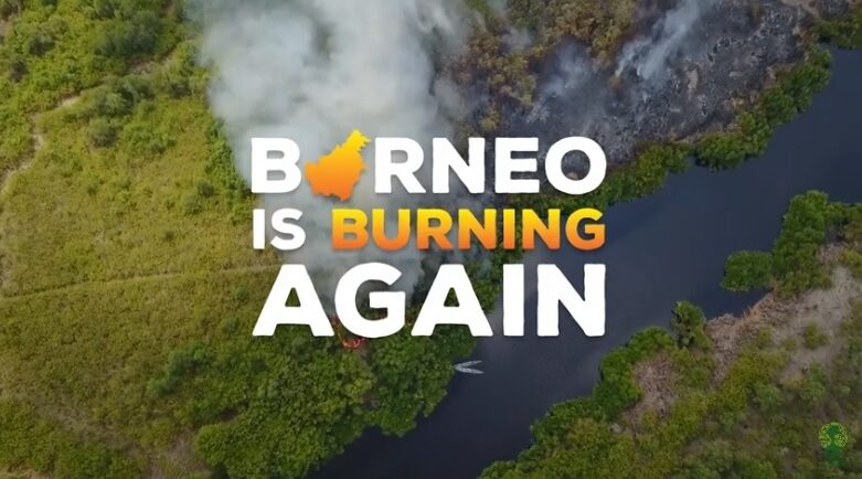 Image with text Borneo is Burning again.