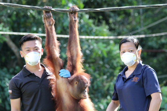 Arnold Ibri 04 2019 3