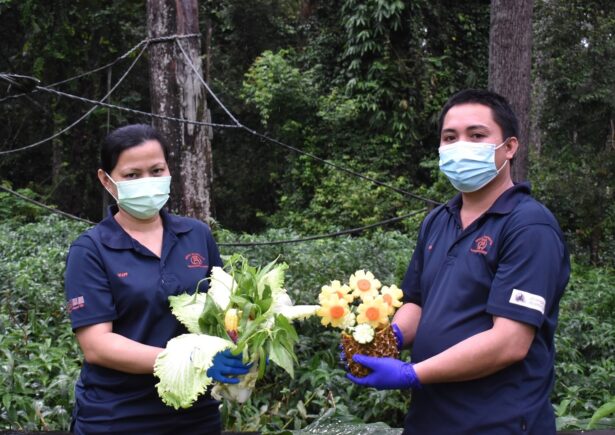 Team members holding fruit bouquets.