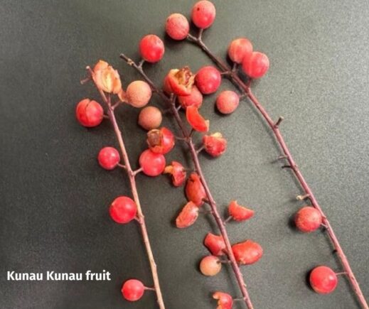 Kunau Kunau fruit