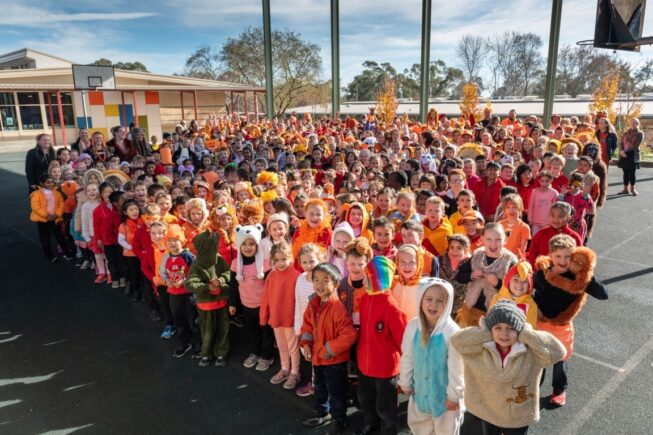 Aranda School fundraising for Orangutan Appeal UK