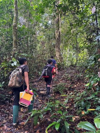 Danum Valley 12 12 2023 6