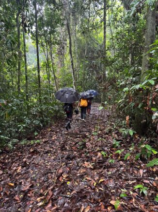 Danum Valley 12 12 2023 7