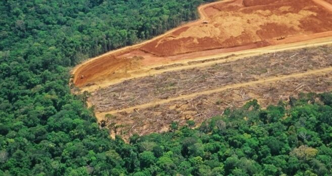Deforested land area in Borneo rainforest