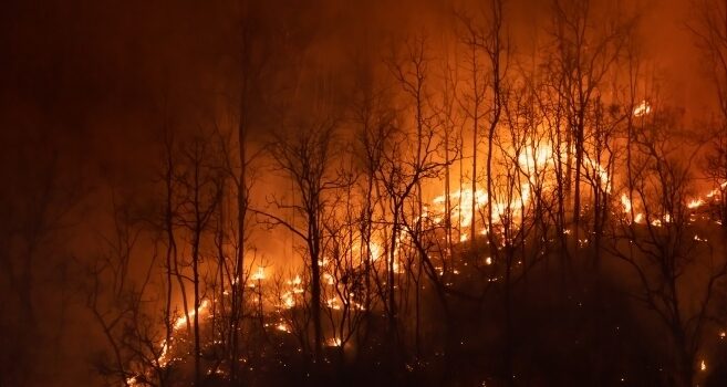 Raging forest fire in Borneo