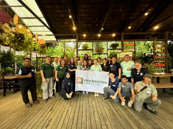 Networking event - Orangutan Appeal UK