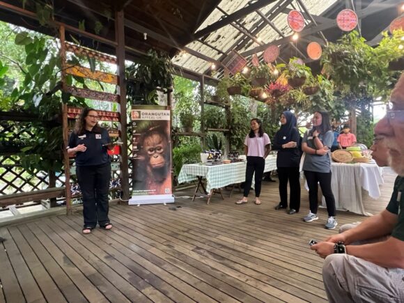 Networking event - Orangutan Appeal UK