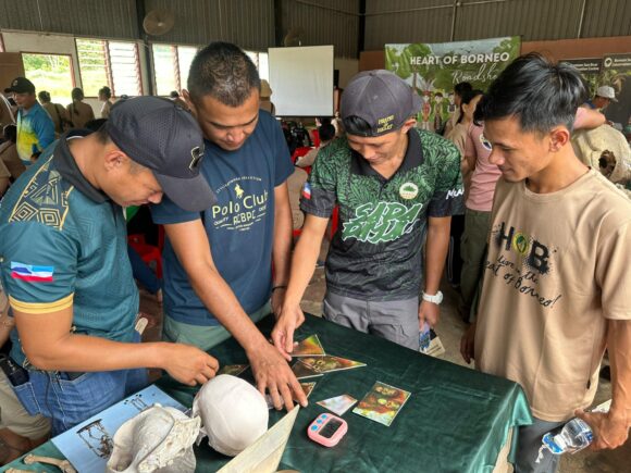 Community members playing orangutan puzzle game at Orangutan Appeal UK stall at the Heart of Borneo event