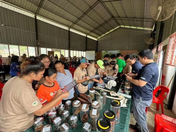 Community members looking at fruit samples at Orangutan Appeal UK stall at the Heart of Borneo event
