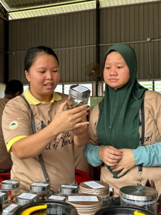 Community members looking at samples of fruit from the rainforest that orangutans eat on Orangutan Appeal UK stall at the Heart of Borneo event