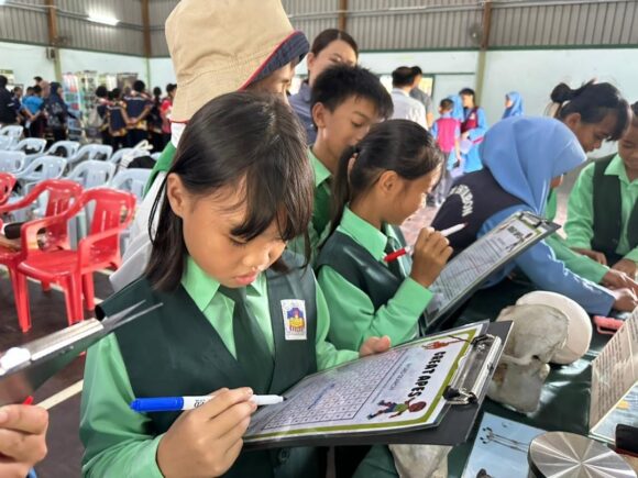A child completing a orangutan crossword puzzle