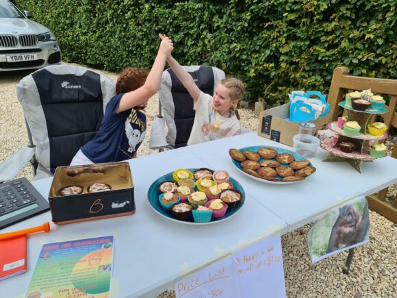 Isla & Evie cake sale for Orangutan Appeal UK