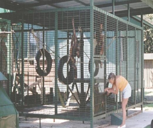 New Nursery with Sue 2001 (2)