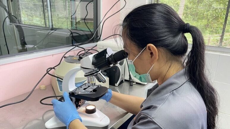 Orangutan vet using clinic equipment