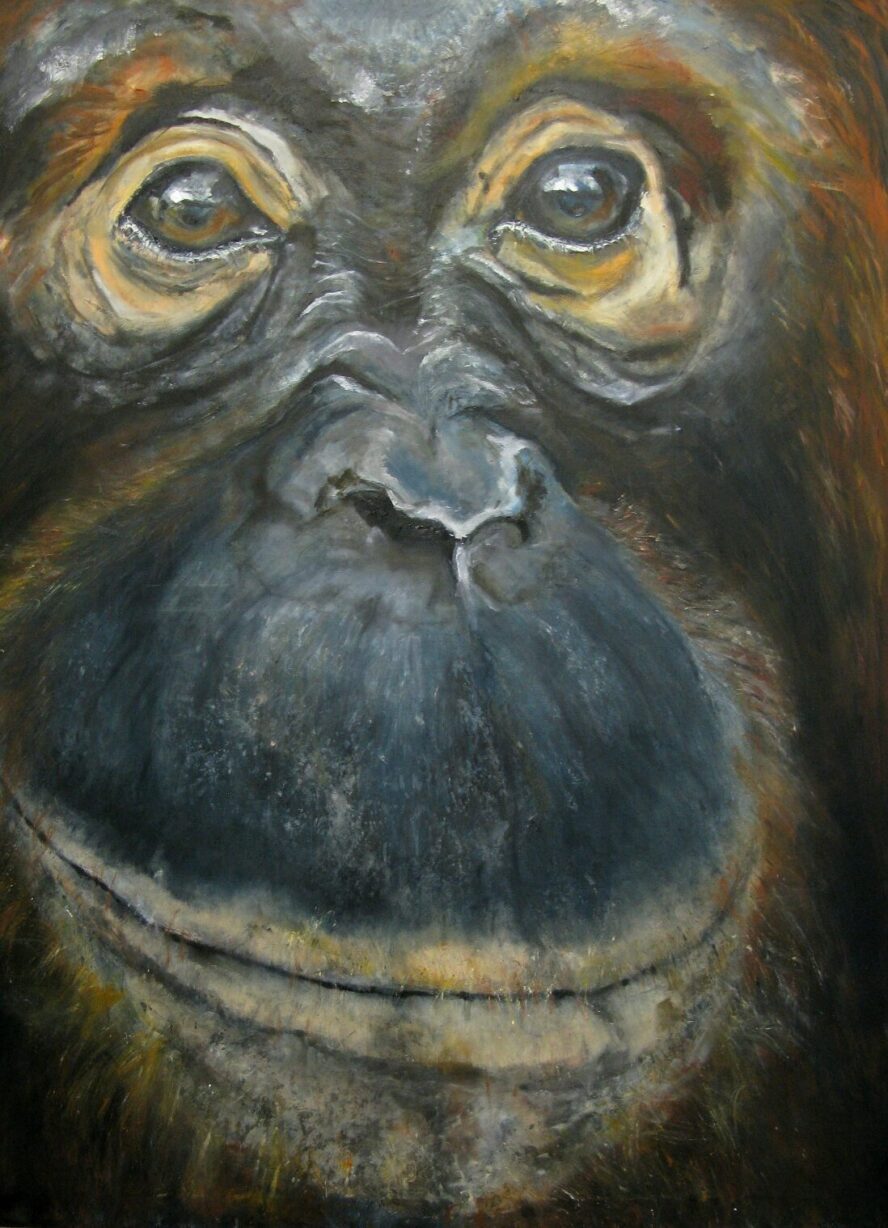 Jacha Potgieter artwork