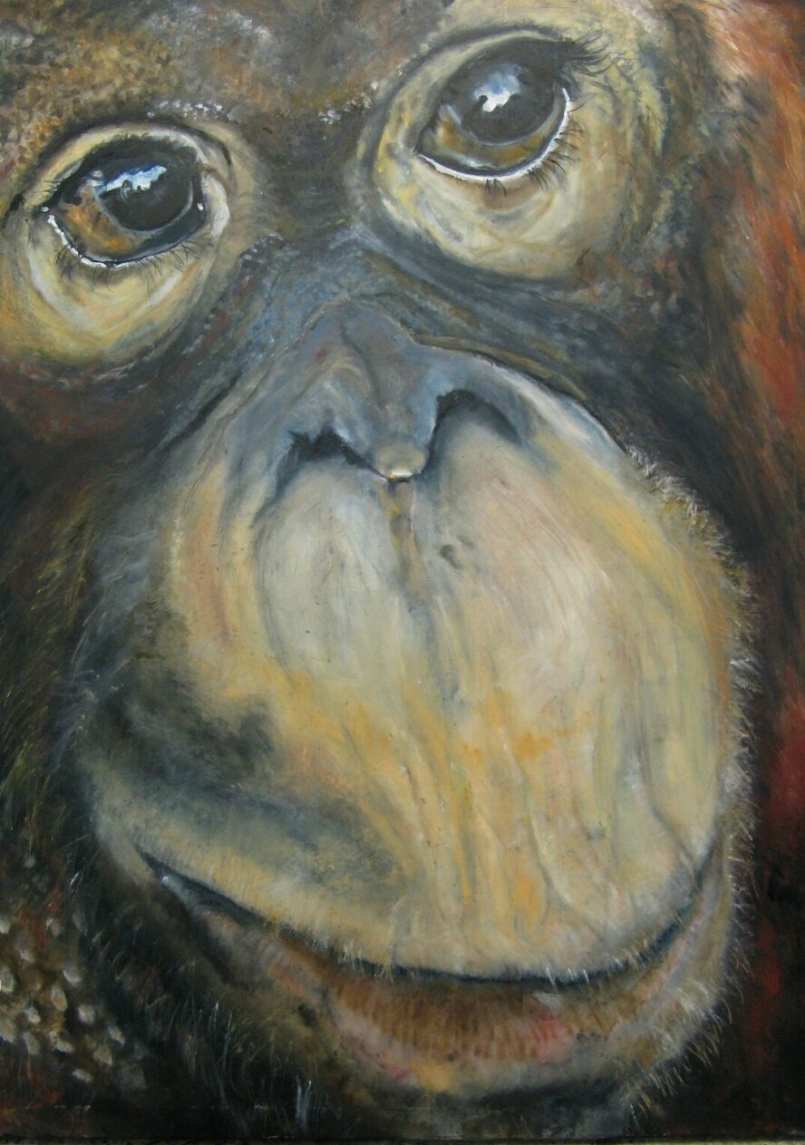 Jacha Potgieter artwork