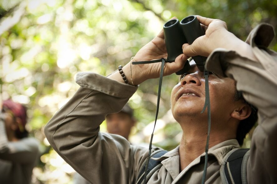 Binoculars for orangutan protection.