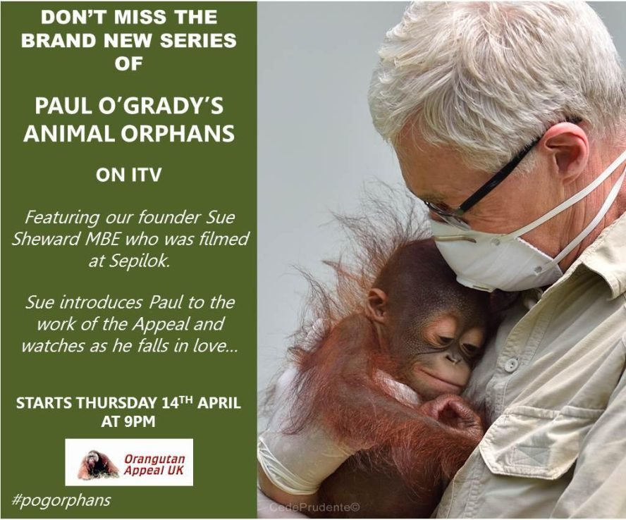 Paul O'Grady's Animal Orphans