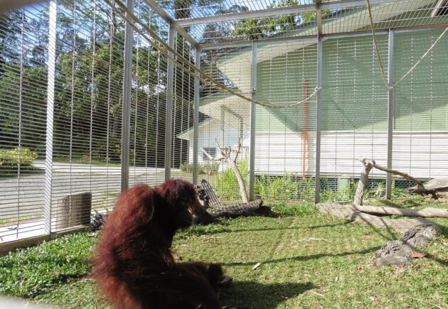 Page 3  Nonong In Her Garden Extension2