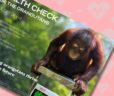 Health Checks Gifts for Orangutans 2025