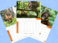 Product listing image middle pages