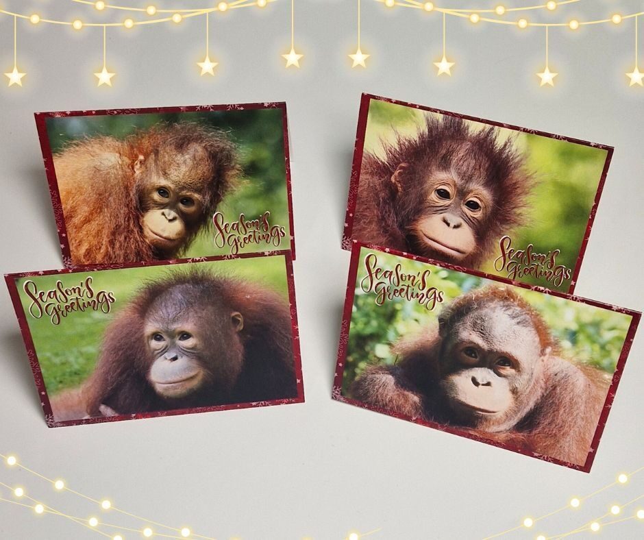 Christmas cards cover 2