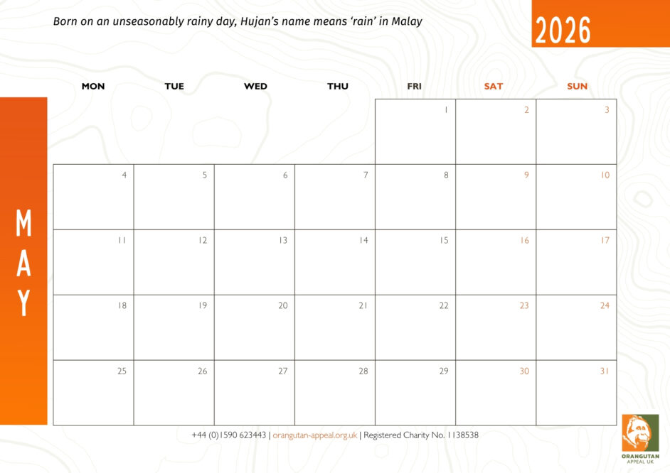 2026 Calendar FINAL 1