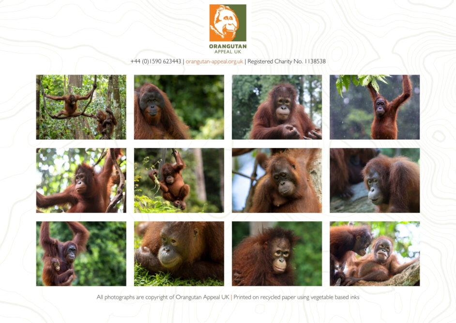 2026 Calendar FINAL 3