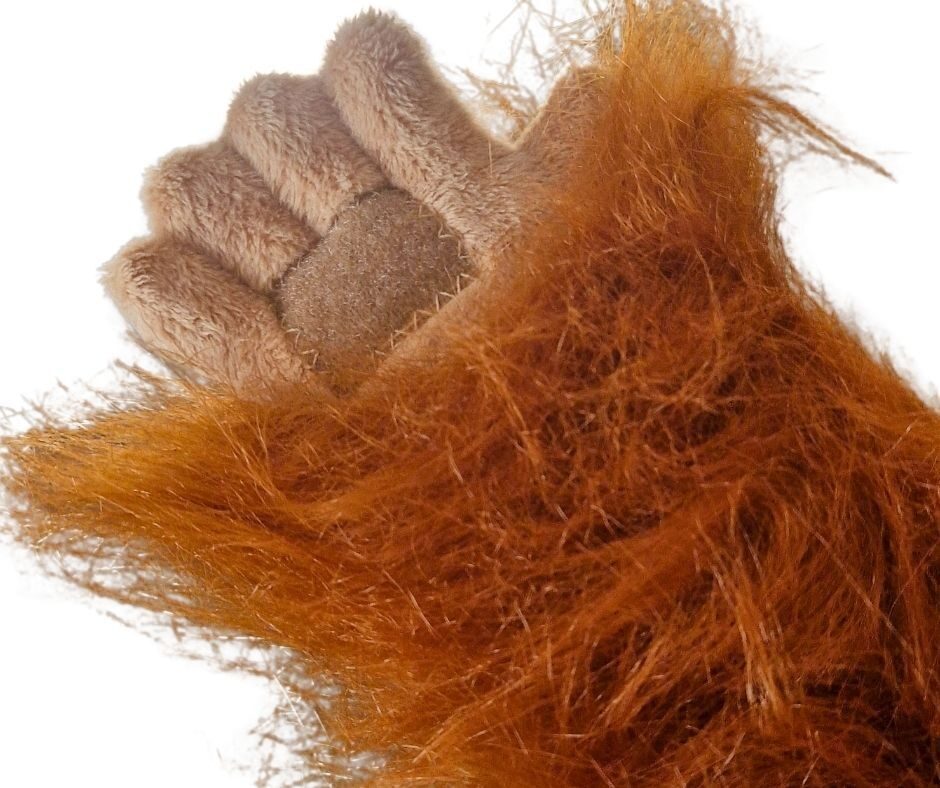 Orangutan velcro puppet hand