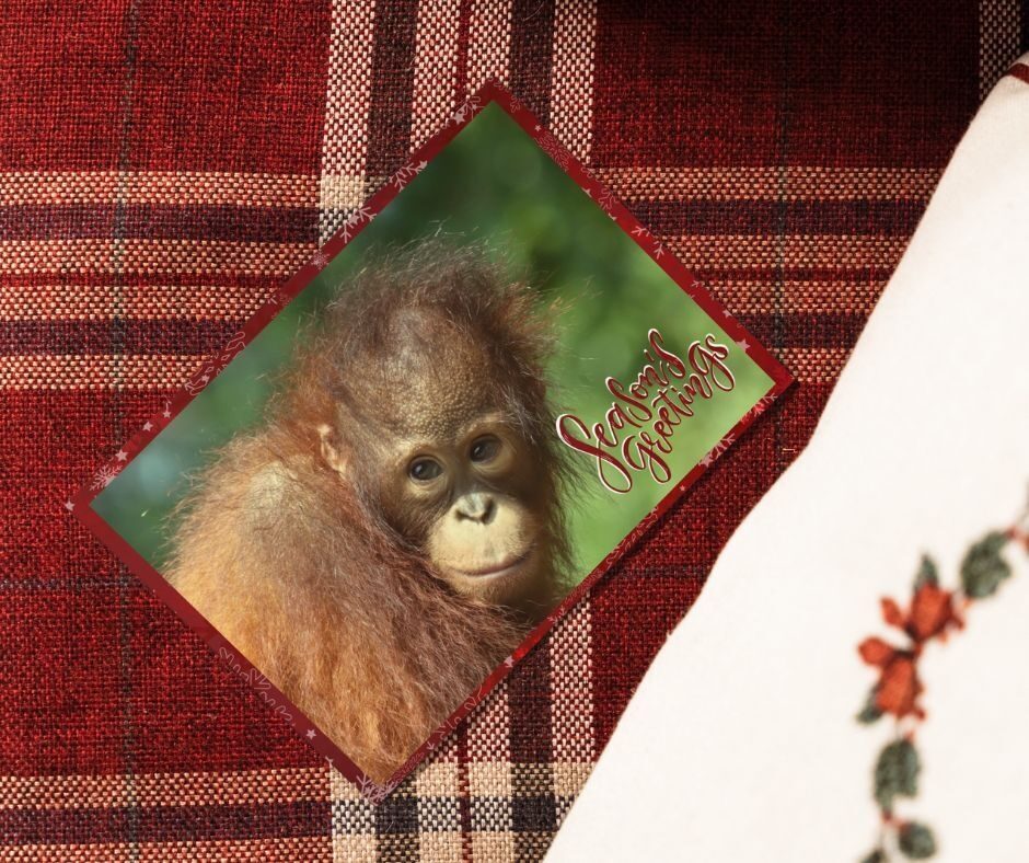 Christmas cards - Agop