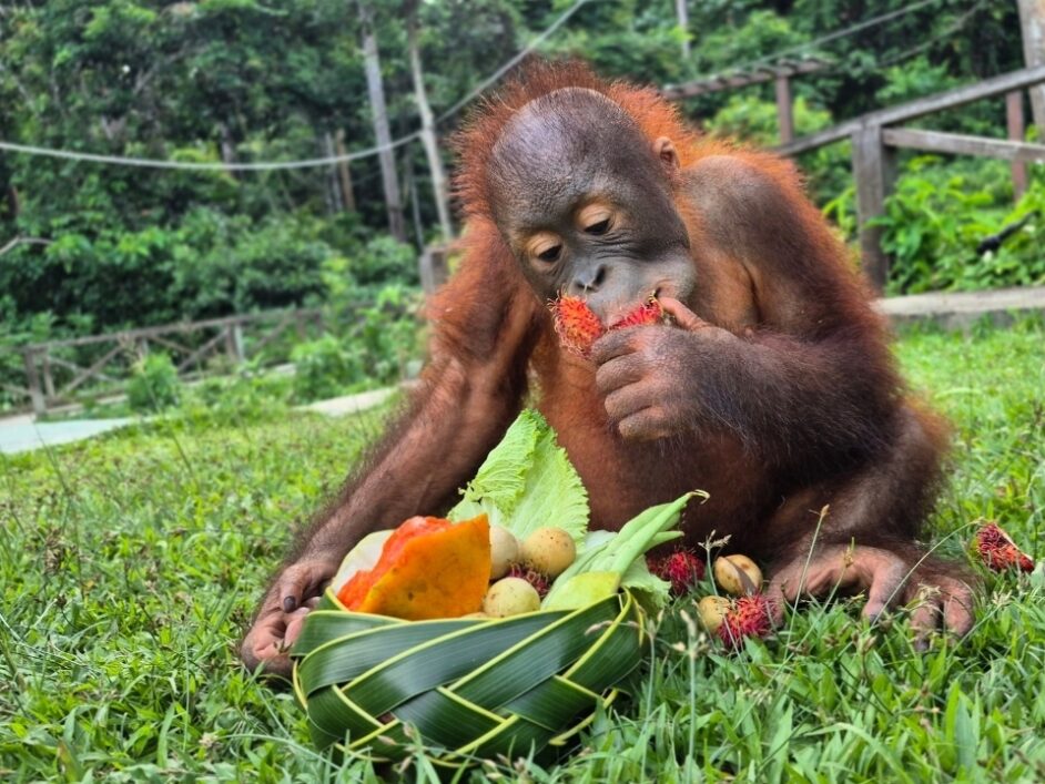 Christmas Hamper Images for Marketing Website