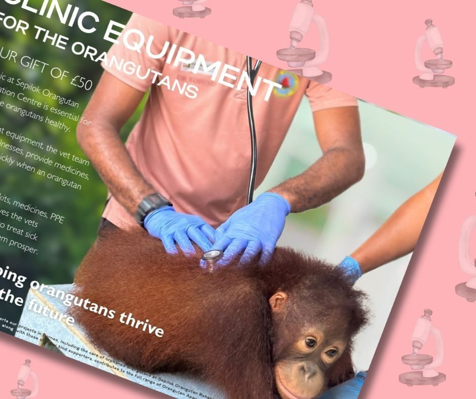 Clinic Equipment Gifts for Orangutans 2025