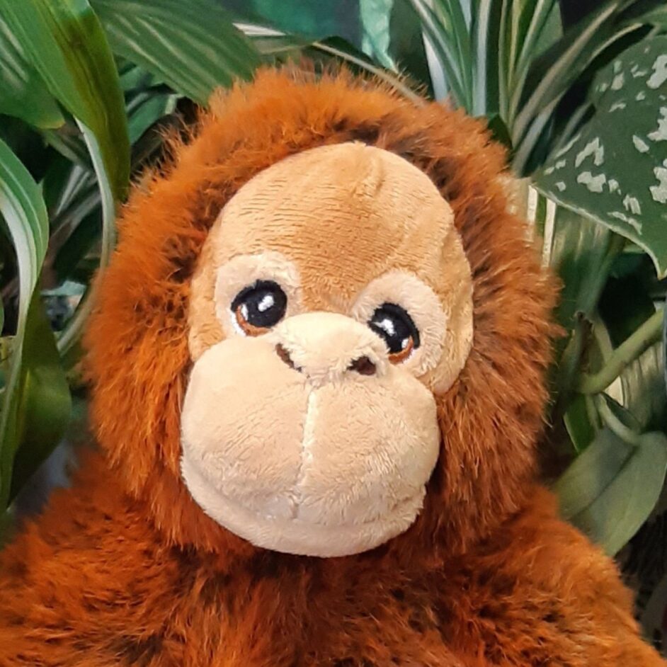 Orangutan plush toy face